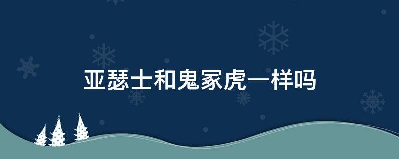 亚瑟士和鬼冢虎一样吗（亚瑟士和鬼冢虎的区别在哪）