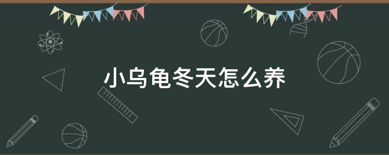 小乌龟冬天怎么养 小乌龟冬天怎么养,吃什么,要放多少水合适