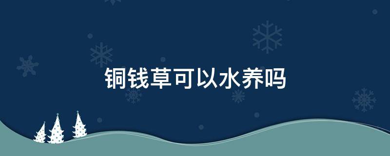 铜钱草可以水养吗 铜钱草可以水里养吗