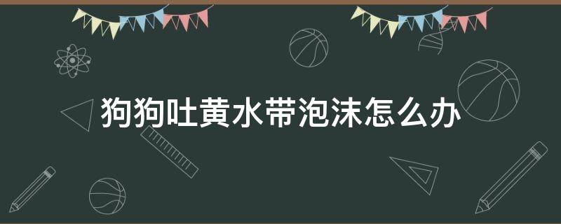 狗狗吐黄水带泡沫怎么办 狗狗经常吐黄水带泡沫怎么办