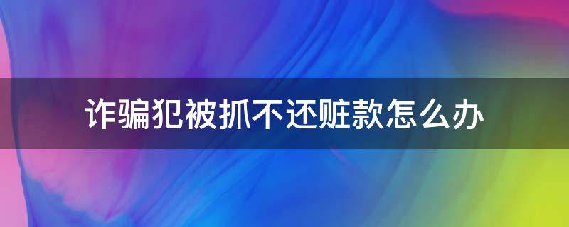 诈骗犯被抓不还赃款怎么办（诈骗犯已被判刑,如何追回赃款）