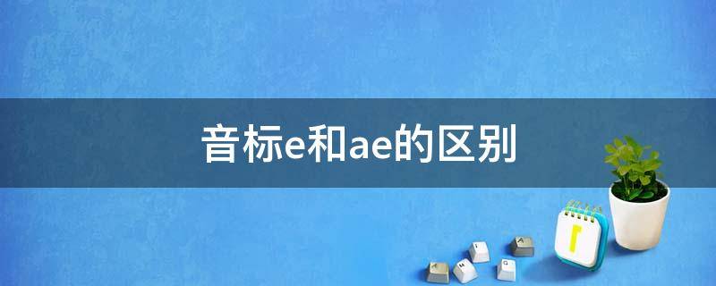 音标e和ae的区别 音标e和ae的区别的对比单词