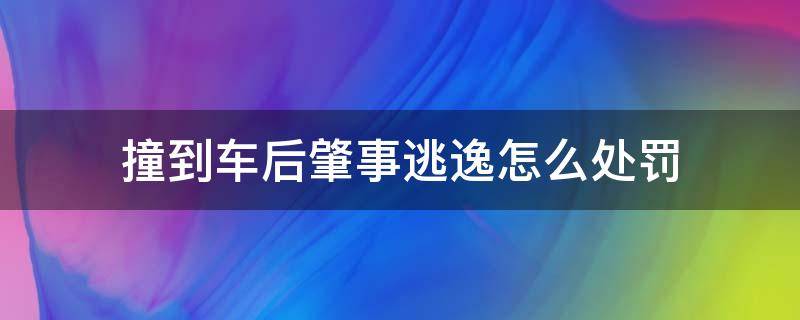 撞到车后肇事逃逸怎么处罚 撞到车肇事逃逸怎么处罚新交规