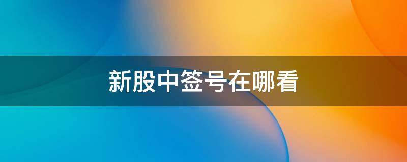 新股中签号在哪看（新股中签号怎么看?怎么看是否中签?）