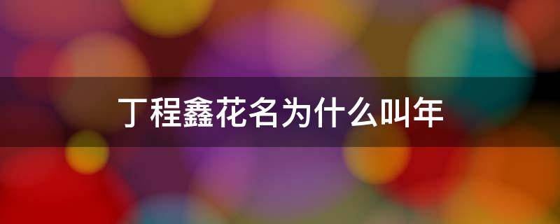 丁程鑫花名为什么叫年（丁程鑫花名为什么叫年年）