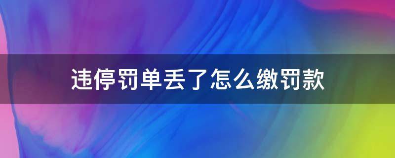 违停罚单丢了怎么缴罚款 违停罚单怎么办