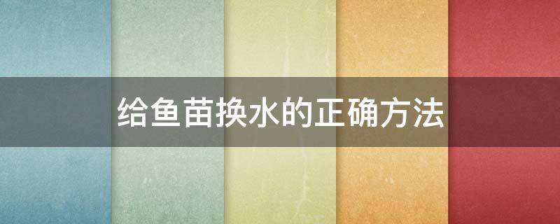 给鱼苗换水的正确方法 刚出生的鱼苗怎么换水