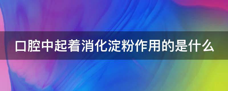 口腔中起着消化淀粉作用的是什么 口腔中起着消化淀粉作用的是什么细胞