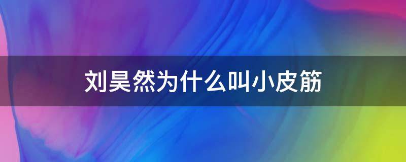 刘昊然为什么叫小皮筋 刘昊然 小皮筋