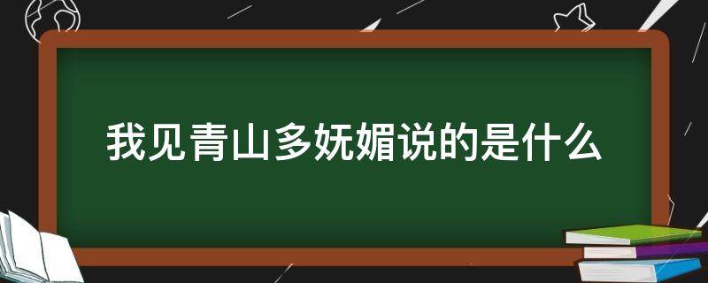 我见青山多妩媚说的是什么（我见青山多妩媚是谁说的）