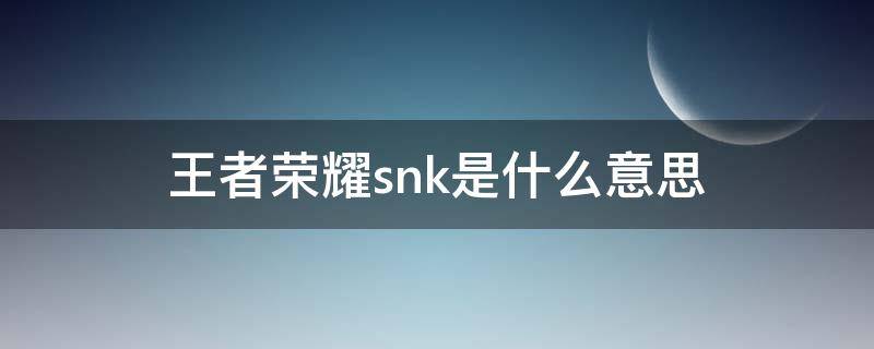 王者荣耀snk是什么意思 王者荣耀里面的snk是什么意思