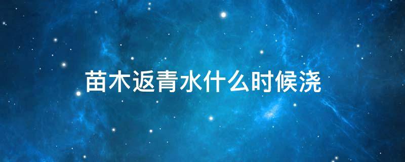 苗木返青水什么时候浇（苗木返青水什么时候浇好）