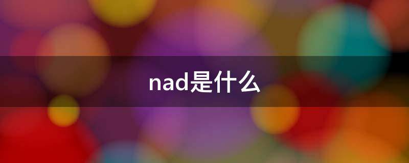 nad是什么（nad是什么牌子的功放）