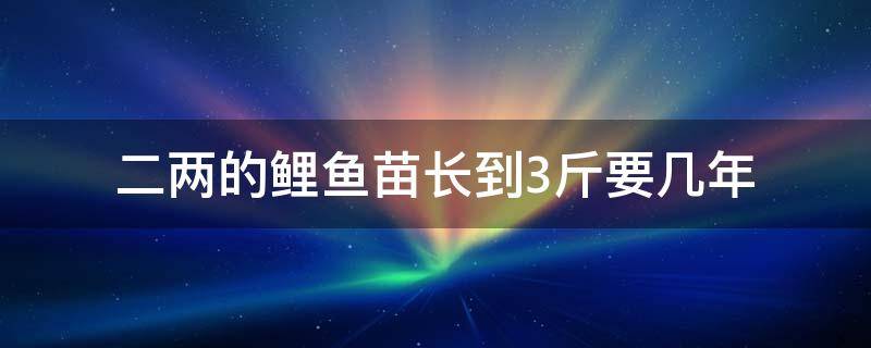 二两的鲤鱼苗长到3斤要几年 三两的鲤鱼苗长一年能长多大