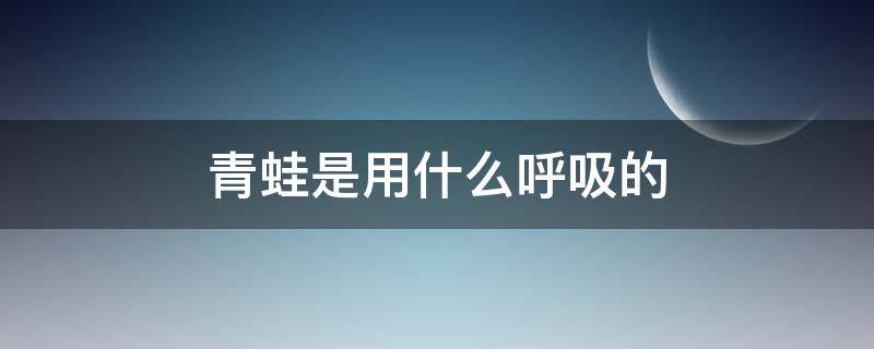 青蛙是用什么呼吸的（青蛙主要用什么呼吸）