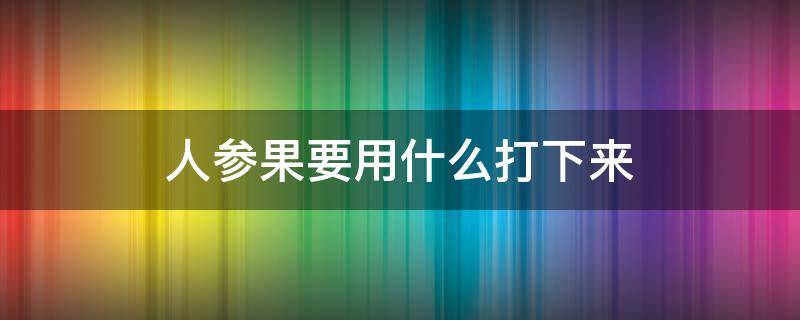 人参果要用什么打下来 人参果怎么弄的