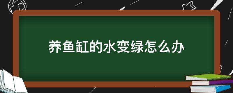 养鱼缸的水变绿怎么办 鱼缸里的水变绿是怎么回事