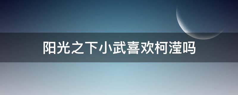 阳光之下小武喜欢柯滢吗（阳光之下小武和柯）