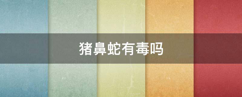 猪鼻蛇有毒吗 猪鼻蛇毒性大吗