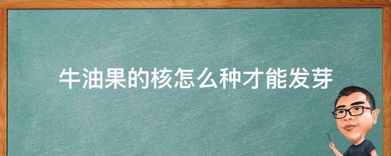 牛油果的核怎么种才能发芽（牛油果核发芽怎么种植）