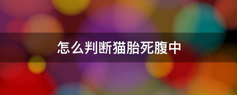 怎么判断猫胎死腹中（猫腹中有死胎什么反应）