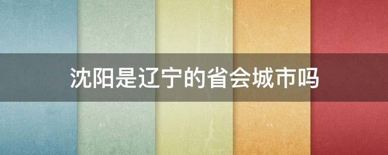 沈阳是辽宁的省会城市吗（沈阳是省级城市吗）