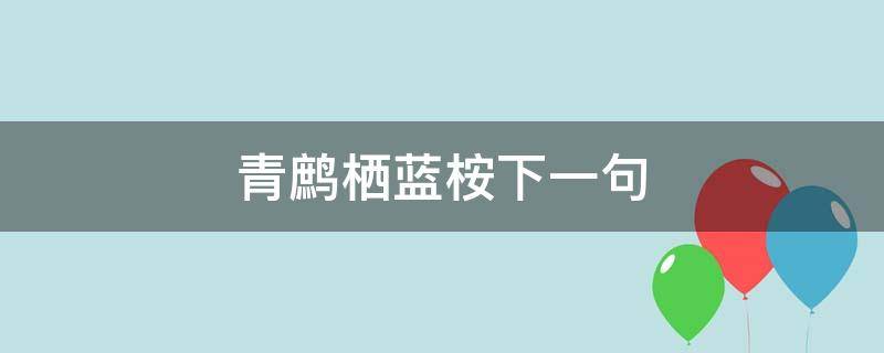 青鹧栖蓝桉下一句（青鹧栖蓝桉的意思）