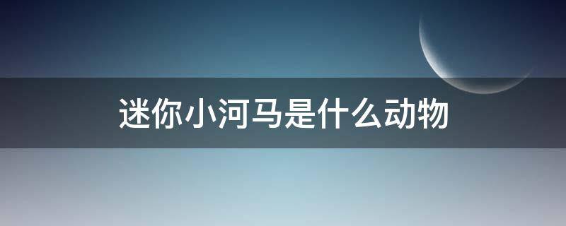 迷你小河马是什么动物（迷你小河马是什么动物整么生育）