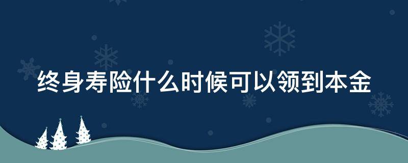 终身寿险什么时候可以领到本金（终身寿险什么时候可以领到本金的）