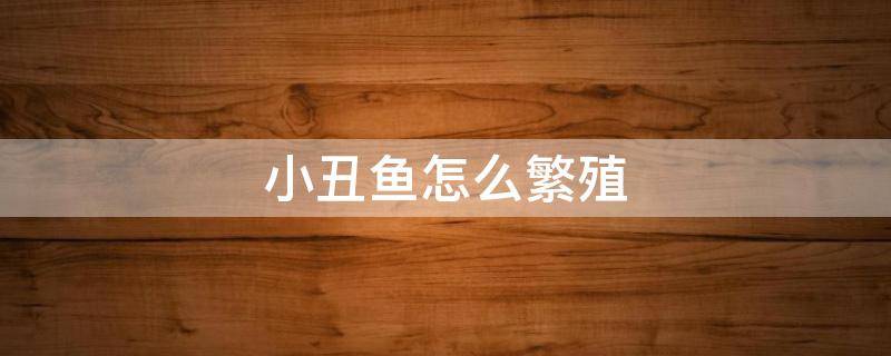 小丑鱼怎么繁殖（小丑鱼怎么繁殖?）