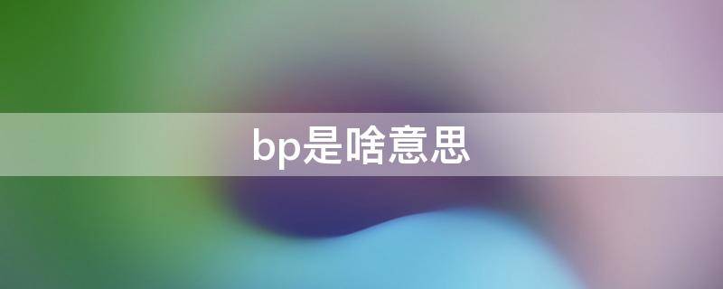 bp是啥意思（公司bp是啥意思）