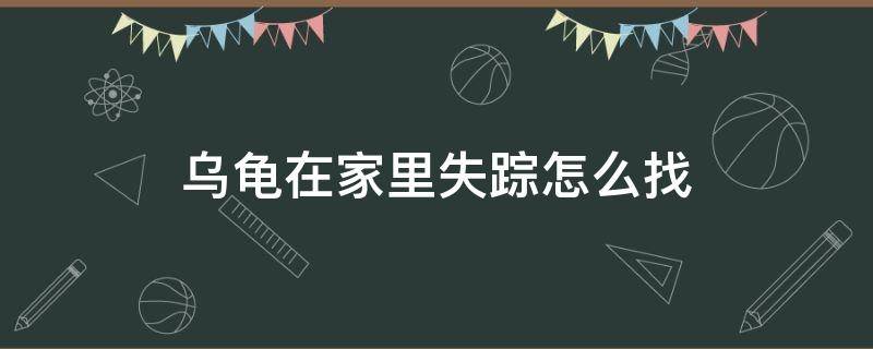 乌龟在家里失踪怎么找（乌龟在家里走丢了怎么找）