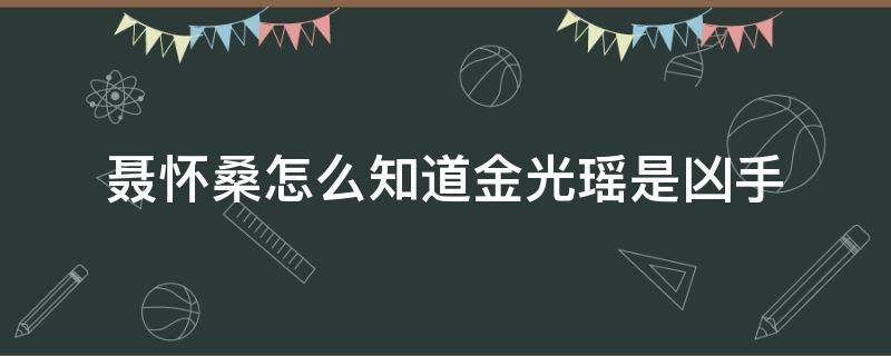 聂怀桑怎么知道金光瑶是凶手（聂怀桑是金光瑶,那金光瑶是谁）