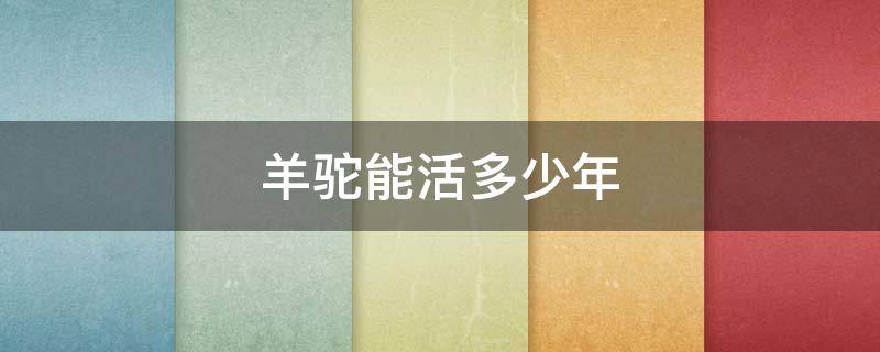 羊驼能活多少年（羊驼的寿命有多久）