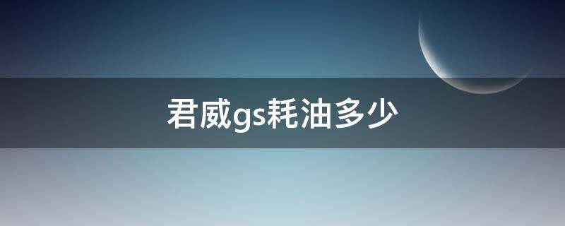 君威gs耗油多少（君威GS油耗多少）