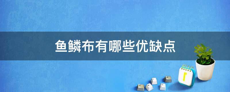 鱼鳞布有哪些优缺点 鱼鳞布好吗