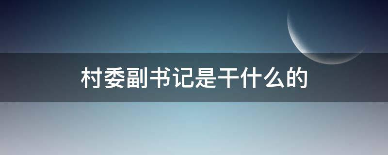 村委副书记是干什么的（村委会书记是干什么的）