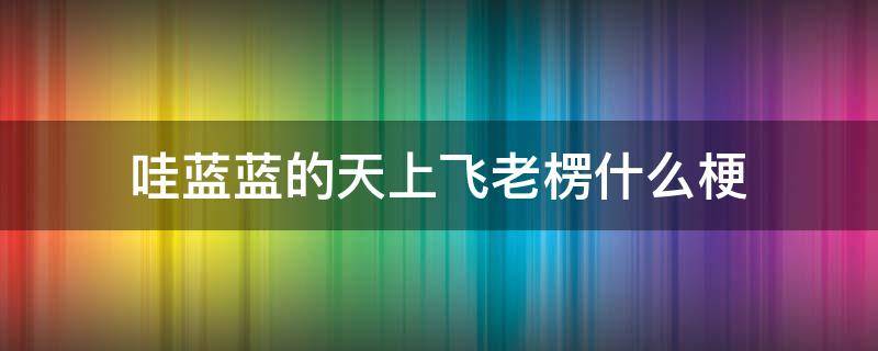 哇蓝蓝的天上飞老楞什么梗（蓝蓝的天上飞老楞出处）