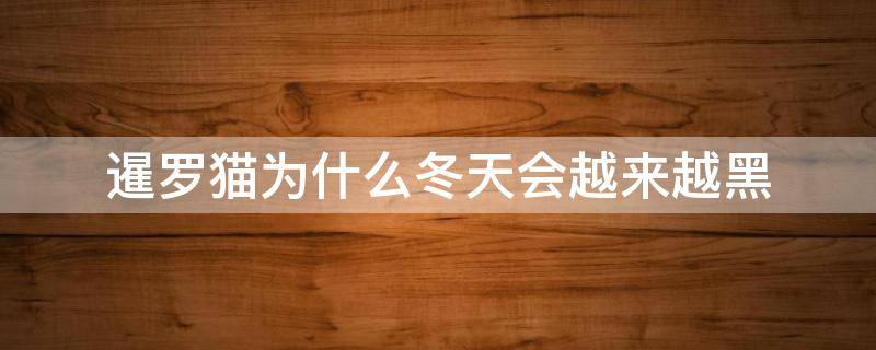 暹罗猫为什么冬天会越来越黑 暹罗猫为什么天冷会变黑