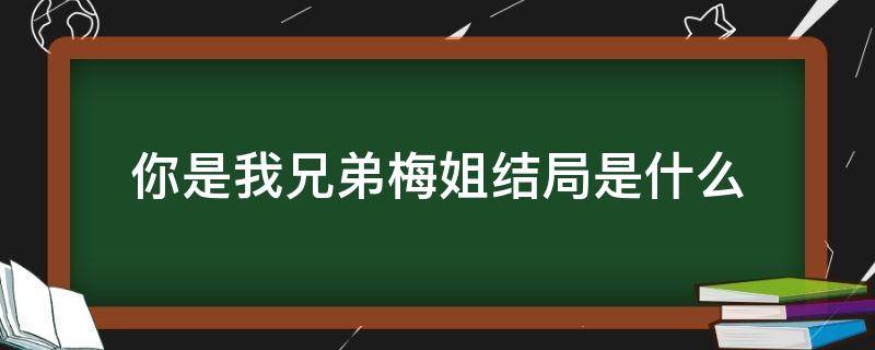 你是我兄弟梅姐结局是什么（你是我兄弟老大和梅姐结局）