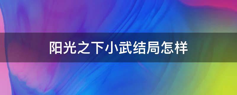 阳光之下小武结局怎样（阳光之下小武是原著中的谁）