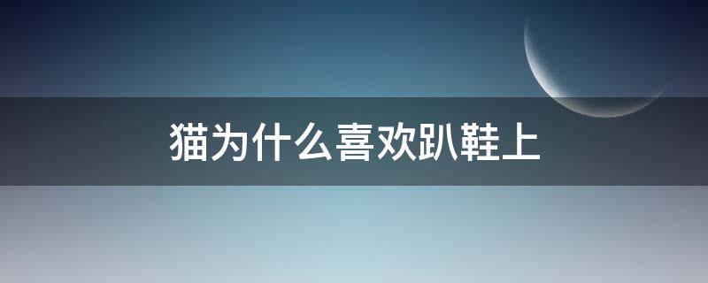 猫为什么喜欢趴鞋上 为什么猫喜欢趴在鞋上