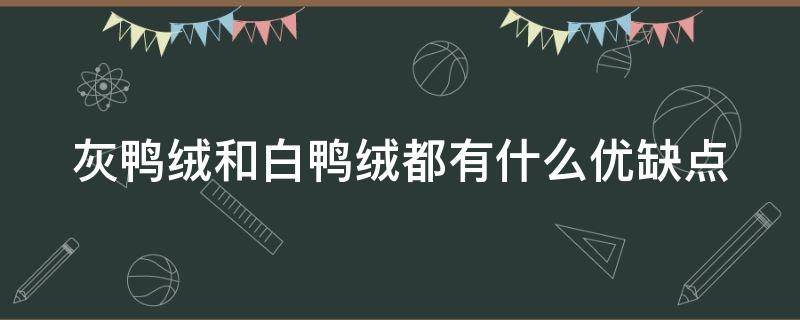 灰鸭绒和白鸭绒都有什么优缺点 灰鸭绒和白鸭绒有什么区别