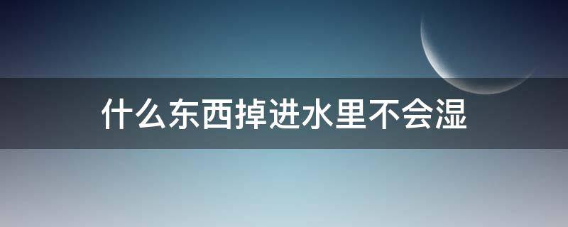 什么东西掉进水里不会湿 什么东西掉进水里不会湿打一生肖