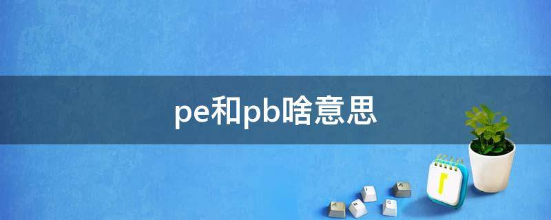pe和pb啥意思（pe与pb是什么意思）