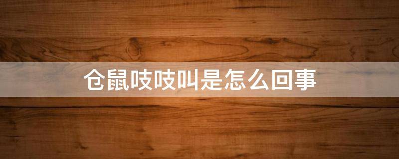 仓鼠吱吱叫是怎么回事 仓鼠吱吱叫是为什么?