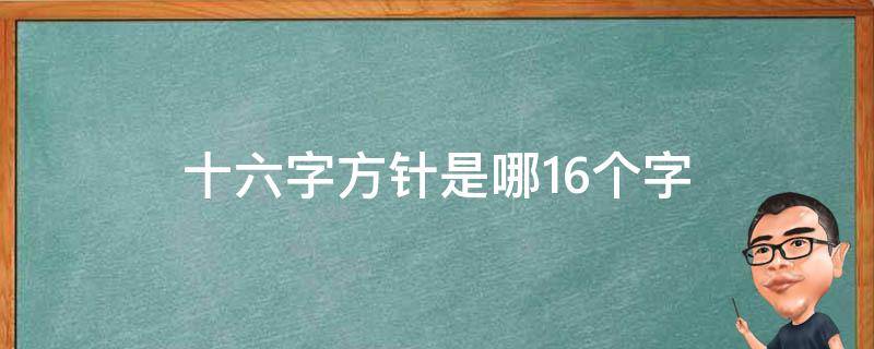 十六字方针是哪16个字（十六字方针是哪16个字对党忠诚）