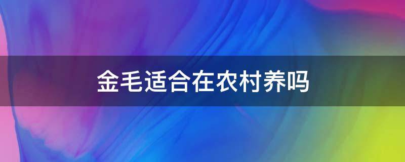 金毛适合在农村养吗 金毛养在农村会看家吗