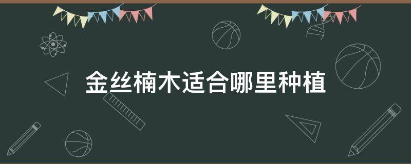 金丝楠木适合哪里种植 金丝楠木适合哪里生长