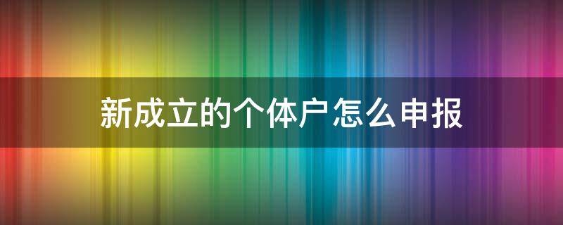 新成立的个体户怎么申报（个体经营户怎么申报）